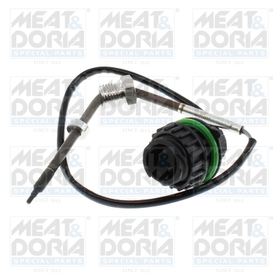 Sensor, exhaust gas temperature